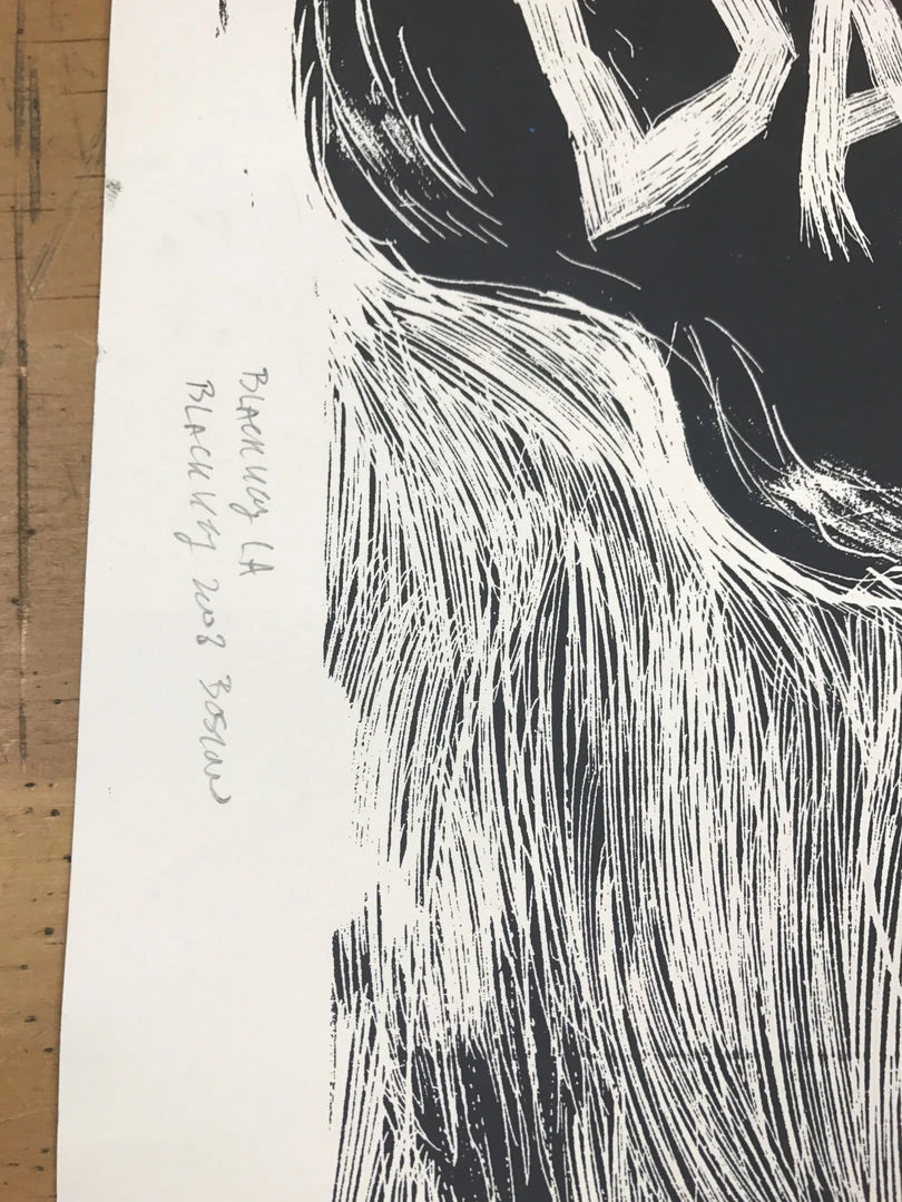 Phish - 2011 Dan Grzeca Poster Chicago, IL UIC TEST Print 12 Phish - 2011 Dan Grzeca Poster Chicago, IL UIC TEST Print