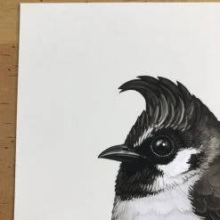 Fat Bird - 2017 Mike Mitchell Poster Himalayan Bulbul Art Prints 11 Fat Bird - 2017 Mike Mitchell Poster Himalayan Bulbul Art Prints