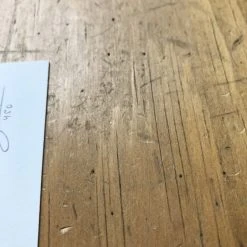 Fat Bird - 2017 Mike Mitchell Poster Himalayan Bulbul Art Prints 14 Fat Bird - 2017 Mike Mitchell Poster Himalayan Bulbul Art Prints