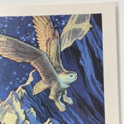 Sold Out Posters String Cheese Incident - 2016 Poster Broomfield, CO