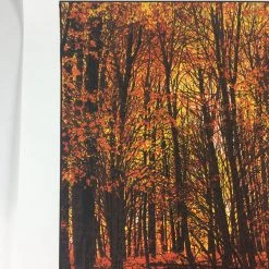 Art Prints Elder Days - 2010 Dan McCarthy Poster Art Print