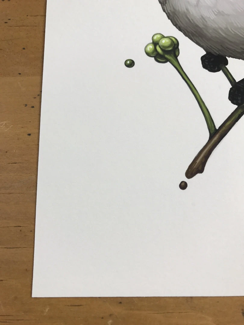 Fat Bird - 2017 Mike Mitchell Poster Himalayan Bulbul Art Prints 9 Fat Bird - 2017 Mike Mitchell Poster Himalayan Bulbul Art Prints