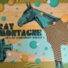 Gig Posters Ray LaMontagne - 2016 Status Serigraph Poster Brooklyn, NY 2 Gig Posters Ray LaMontagne - 2016 Status Serigraph Poster Brooklyn, NY