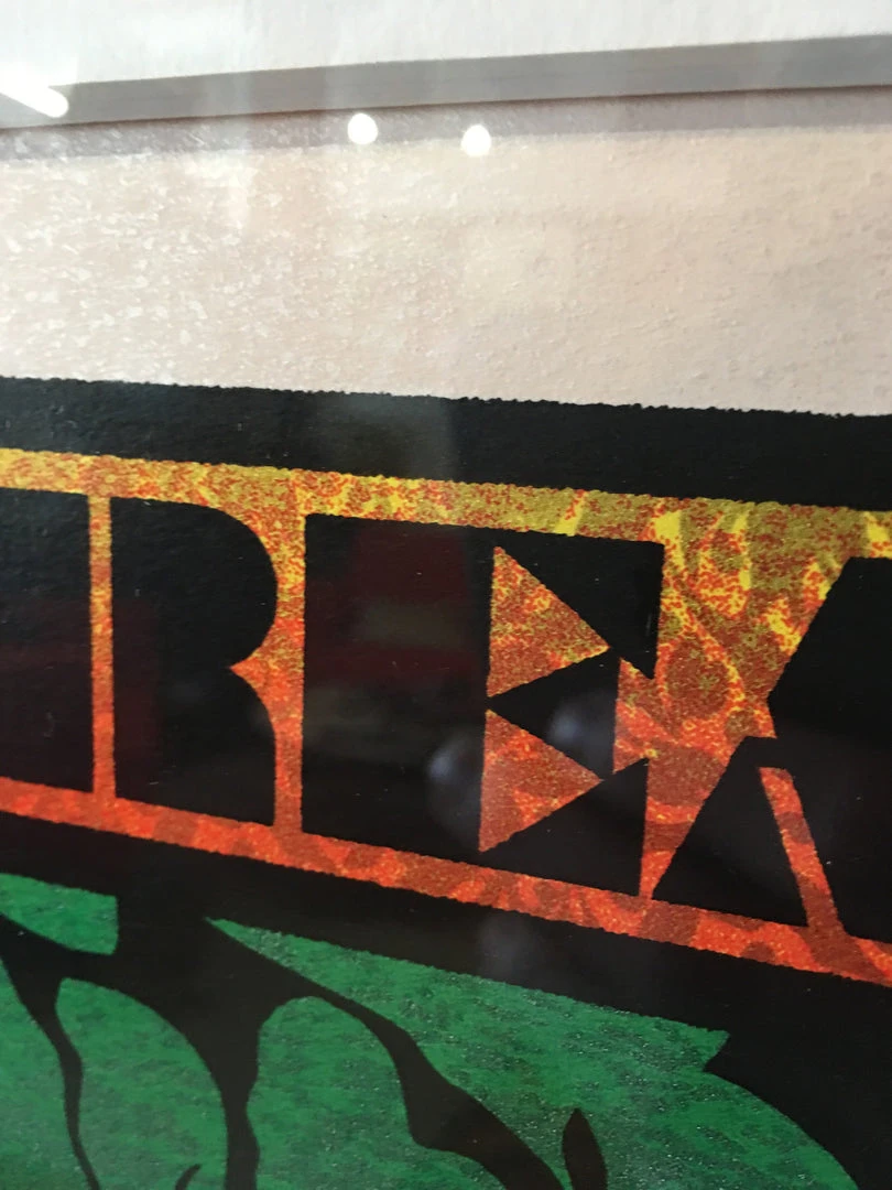 Widespread Panic - 2016 Chuck Sperry Poster Savannah Rose Shimmer #1 FRAMED 10 Widespread Panic - 2016 Chuck Sperry Poster Savannah Rose Shimmer #1 FRAMED