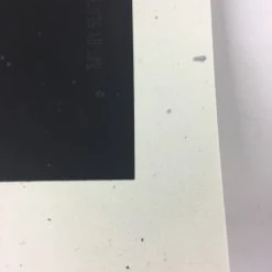 The Dead Weather - 2009 Todd Slater Poster Austin City Limits, TX Zilker Park