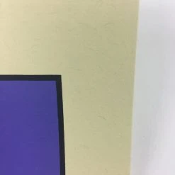 Raleigh St. Clair - 2011 Todd Slater Poster Art Print