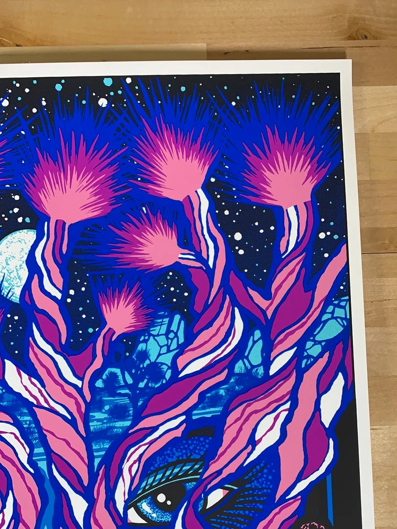 Iggy Pop - 2016 Brad Klausen Poster Philadelphia, PA 6 Iggy Pop - 2016 Brad Klausen Poster Philadelphia, PA