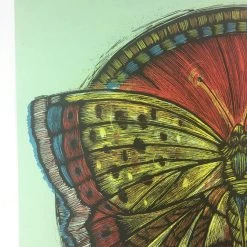 Wooden Resurrection Butterfly - 2013 Dan Grzeca Poster Art Print Art Prints