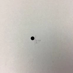 Urban Corvus - 2009 Dan Grzeca Poster Art Print Asphalt Grey Art Prints