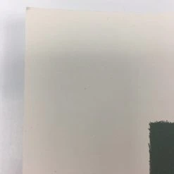 Summit - 2012 Justin Santora Poster Art Print