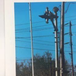 Woody Guthrie My Dusty Road - 2009 Dan MacAdam Crosshair Poster Art Print Gig Posters