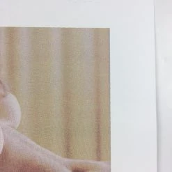 Art Prints Untitled (Bear Boobs) - 2008 Mike Budai Poster Art Print