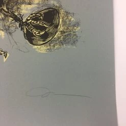 Urban Corvus - 2009 Dan Grzeca Poster Art Print Asphalt Grey Art Prints