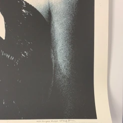 The Dead Weather 2009 Rob Jones Poster (with Damage) Chicago Vic Night 2 S/N Chicago, IL