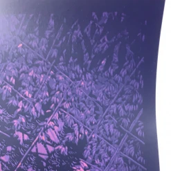 The Beacon Jams Ghosts Of The Forest - 2020 Daniel Danger Poster Trey Anastasio 9 The Beacon Jams Ghosts Of The Forest - 2020 Daniel Danger Poster Trey Anastasio