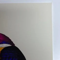 Fat Bird - 2020 Mike Mitchell Poster Rufous-Backed Dwarf Kingfisher AP Art Prints