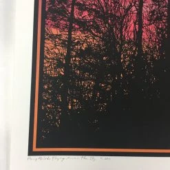 Art Prints Big Birds Flying Across The Sky - 2011 Dan McCarthy Poster Art Print