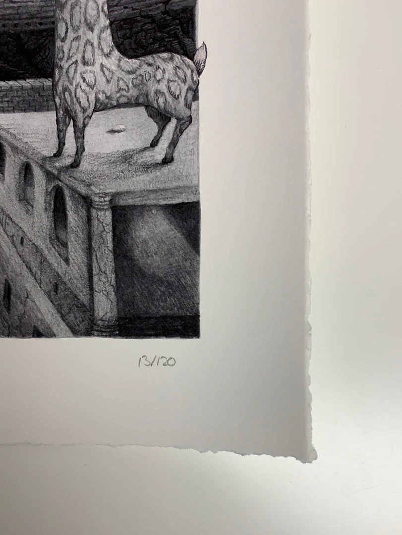 Art Prints Freda And The Hidden City - 2021 David Welker Poster, Art Print 7 Art Prints Freda And The Hidden City - 2021 David Welker Poster, Art Print