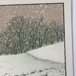 Colorado Yonder Mountain String Band - 2013 Neal Williams Poster Aspen, CO