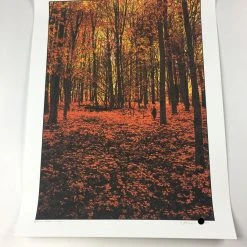 Art Prints Elder Days - 2010 Dan McCarthy Poster Art Print