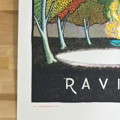 Art Prints Andrew Bird - 2021 Jay Ryan Poster Ravinia Highland Park, IL