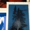 Test Print 3 Pack - Dan McCarthy Posters Art Prints White Tree Woods Jurrasic 1/1