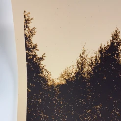 The Raconteurs - 2008 Rob Jones Poster Dallas, TX House Of Blues Gig Posters 10 The Raconteurs - 2008 Rob Jones Poster Dallas, TX House Of Blues Gig Posters