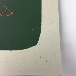 The Disco Biscuits - 2009 Todd Slater Poster Chicago, IL Congress Theater 15 The Disco Biscuits - 2009 Todd Slater Poster Chicago, IL Congress Theater