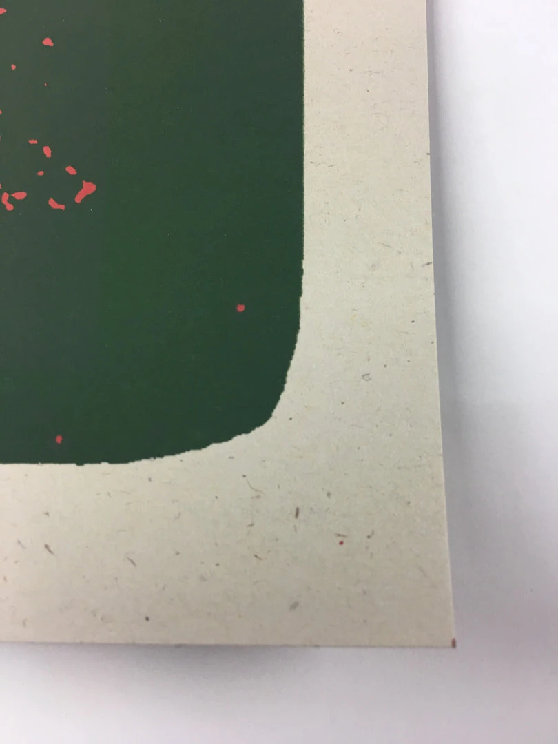 The Disco Biscuits - 2009 Todd Slater Poster Chicago, IL Congress Theater 9 The Disco Biscuits - 2009 Todd Slater Poster Chicago, IL Congress Theater