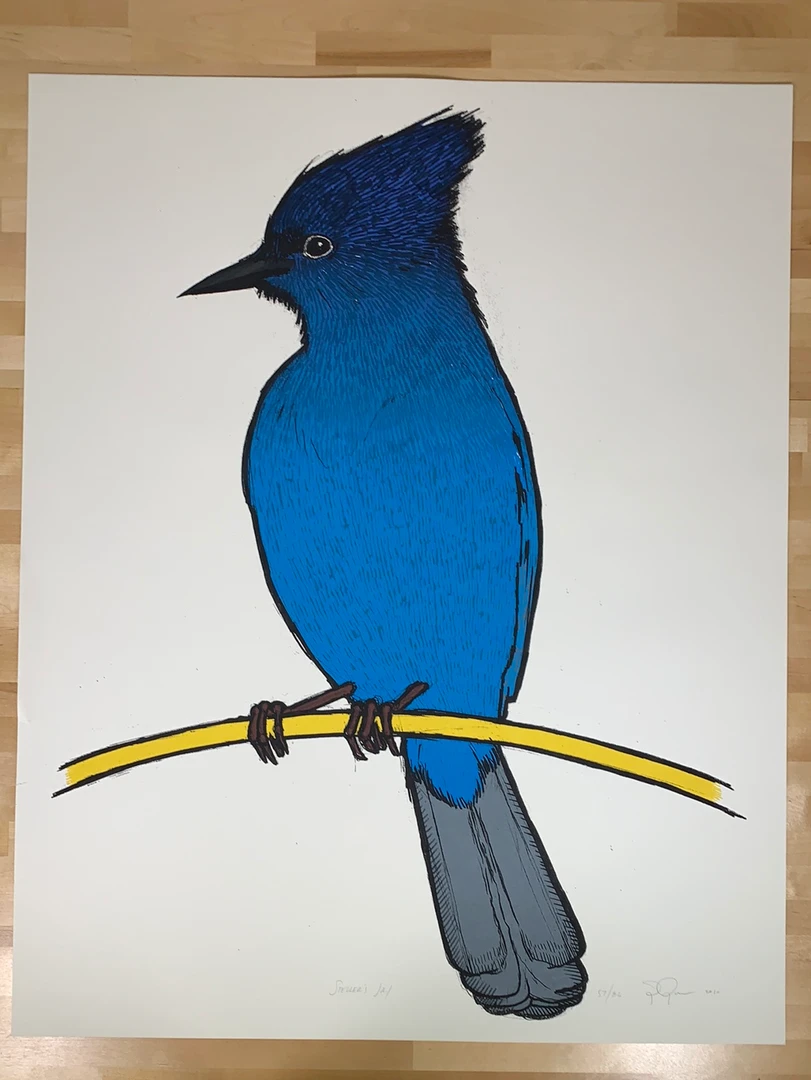 Steller's Jay - 2010 Jay Ryan Art Print Art Prints 4 Steller's Jay - 2010 Jay Ryan Art Print Art Prints