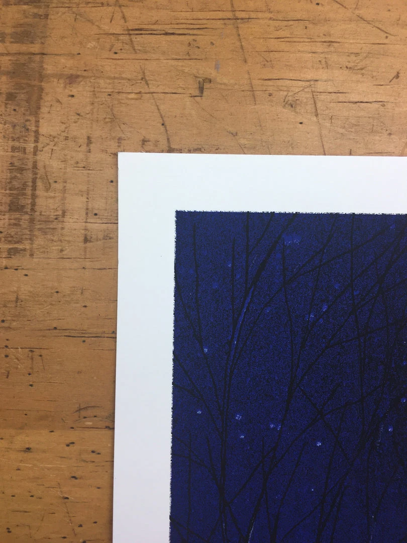 Flatstock 13 - 2007 Daniel Danger Poster Chicago, IL Union Park 6 Flatstock 13 - 2007 Daniel Danger Poster Chicago, IL Union Park