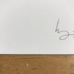 Fat Bird - 2017 Mike Mitchell Poster Himalayan Bulbul Art Prints 13 Fat Bird - 2017 Mike Mitchell Poster Himalayan Bulbul Art Prints