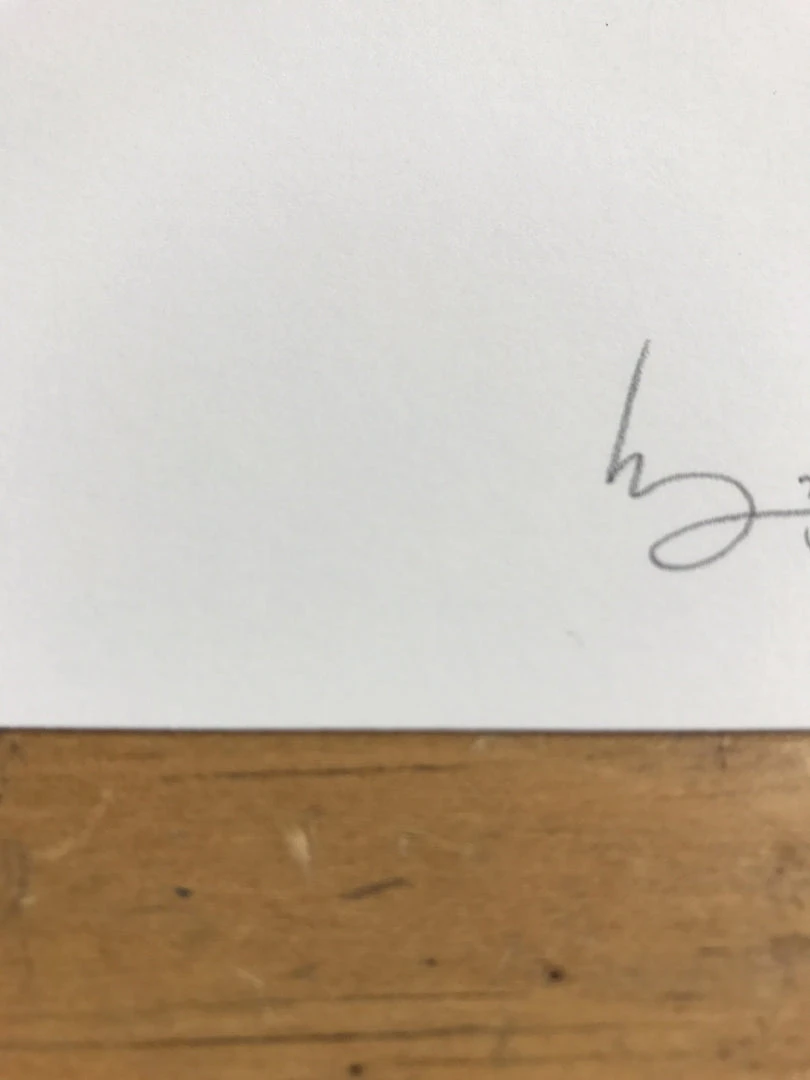 Fat Bird - 2017 Mike Mitchell Poster Himalayan Bulbul Art Prints 7 Fat Bird - 2017 Mike Mitchell Poster Himalayan Bulbul Art Prints