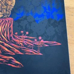 Norah Jones - 2019 Todd Slater Poster Red Rocks Morrison, CO X/60