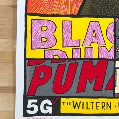 Black Pumas - 2020 Jay Ryan Poster The Wiltern Los Angeles, CA