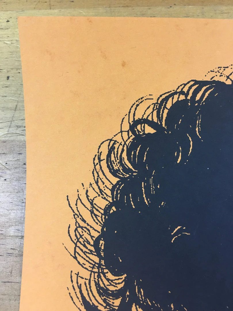 Bob Dylan The Rolling Stone - 2014 Brian Methe Art Print Orange Variant 9 Bob Dylan The Rolling Stone - 2014 Brian Methe Art Print Orange Variant