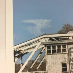 A.C. Newman - 2009 Dan MacAdam Crosshair Poster Chicago, IL Logan Square Auditor