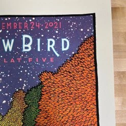 Art Prints Andrew Bird - 2021 Jay Ryan Poster Ravinia Highland Park, IL