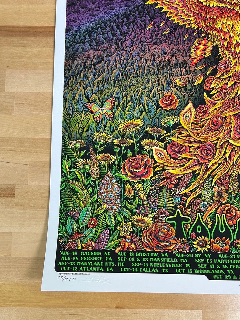 Dead & Company - 2021 EMEK Poster Summer Tour S/N X/250 Gig Posters 8 Dead & Company - 2021 EMEK Poster Summer Tour S/N X/250 Gig Posters