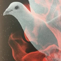 Birth Of A Phoenix #1 - 2010 Todd Slater Poster Art Print Art Prints