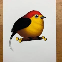Fat Bird - 2019 Mike Mitchell Poster Wire-tailed Manakin 1st Art Prints