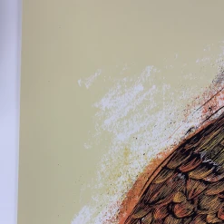 Gig Posters Ray Lamontagne - 2014 Dan Grzeca Poster Tucson, AZ Fox Theatre 10 Gig Posters Ray Lamontagne - 2014 Dan Grzeca Poster Tucson, AZ Fox Theatre