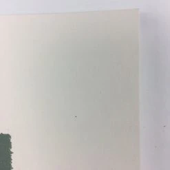 Summit - 2012 Justin Santora Poster Art Print