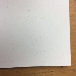 Gig Posters Andrew Bird - 2005 Jay Ryan Poster