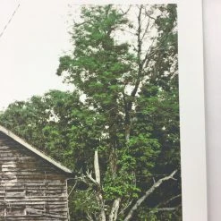 The Band Of Heathens - 2009 Dan MacAdam Crosshair Poster Austin, TX KLRU Studios