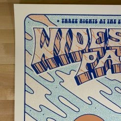 Gig Posters Widespread Panic - 2021 The Half And Half Poster Asheville, NC S/N