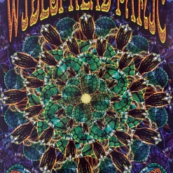 BGP 241 Widespread Panic - 2000 Chris Shaw The Warfield Theatre San Fran 1st Gig Posters
