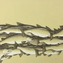 Art Prints Salmon Run - 2015 Justin Santora Poster Art Print