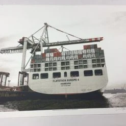 Flatstock Europe 4 - 2009 Dan MacAdam Crosshair Poster Hamburg, GER