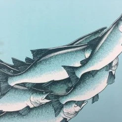 Art Prints Salmon Run - 2015 Justin Santora Poster Art Print